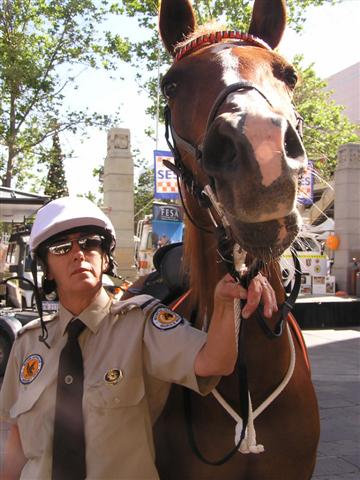 SES Mounted Section